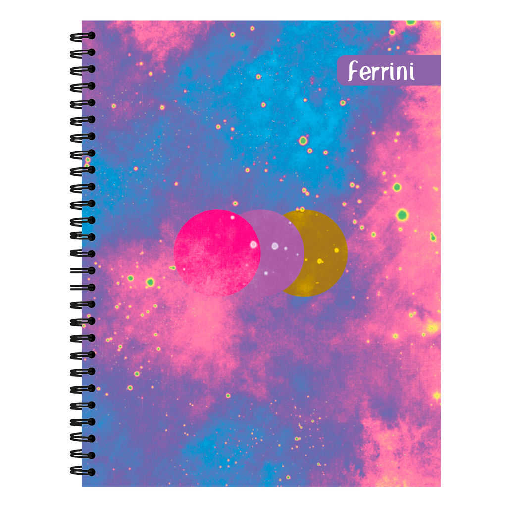 Caja 24 Piezas Cuaderno Profesional Doble Argolla Inclusive 100h Ferrini